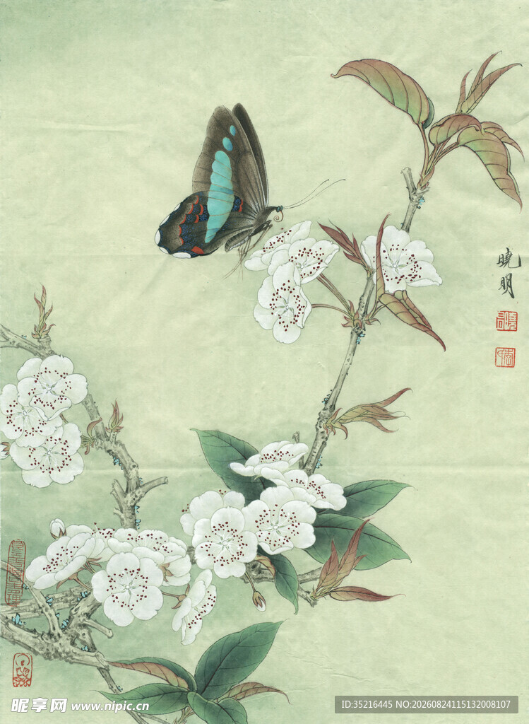 蝶栖繁花图