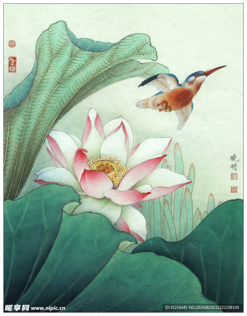 荷间飞鸟图