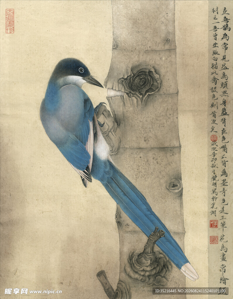 蓝羽小鸟栖于古朴器物上