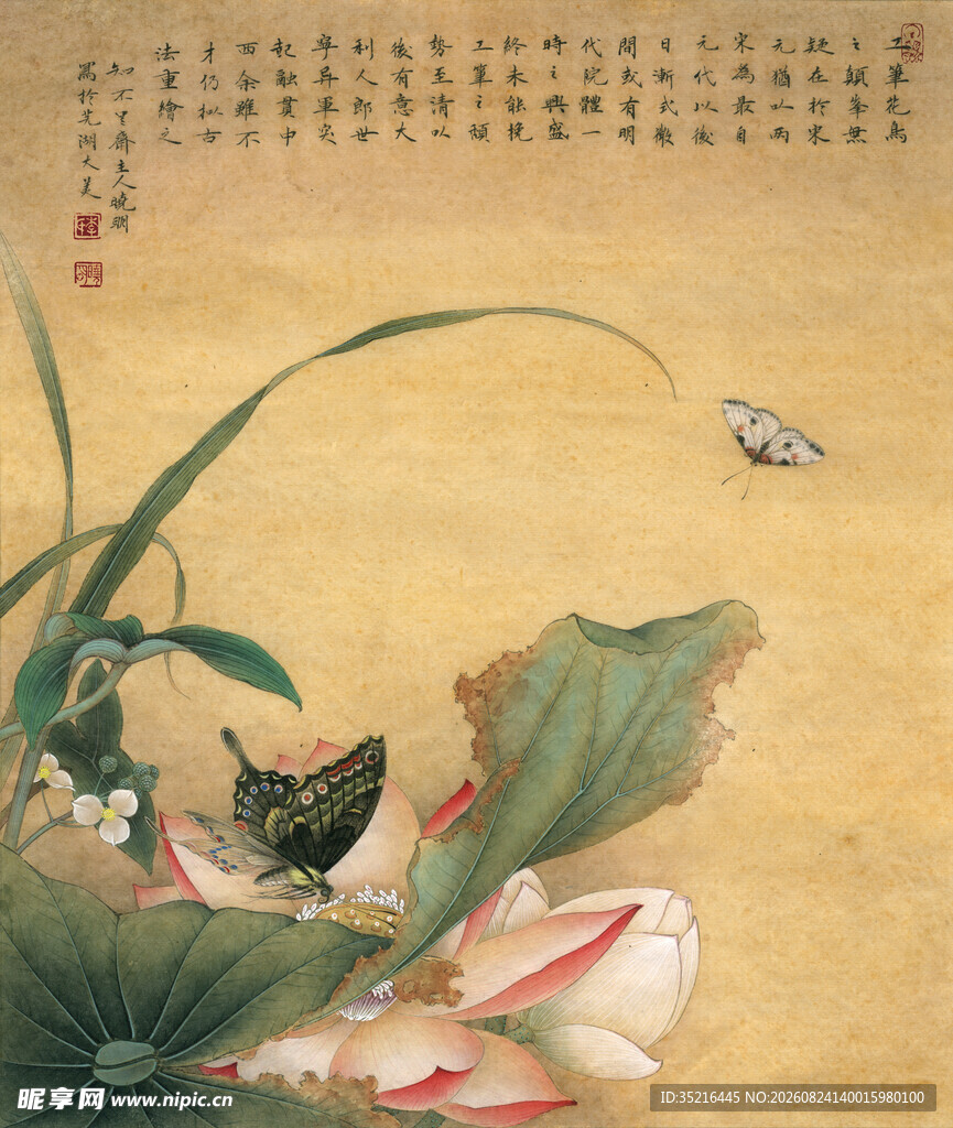 水墨荷花间的灵动小景