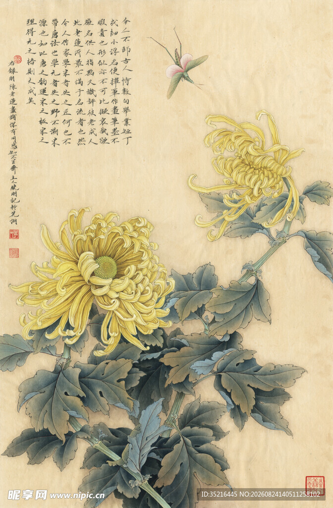 国画菊花图