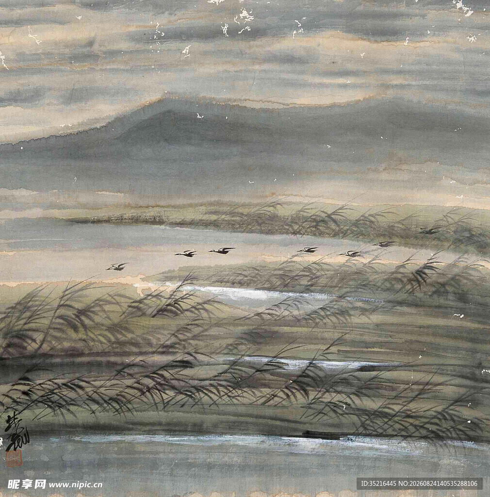 广袤荒原上的自然景观