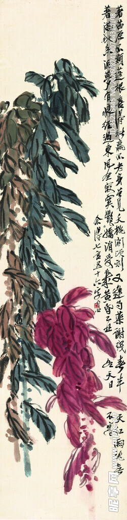 多彩植物插画