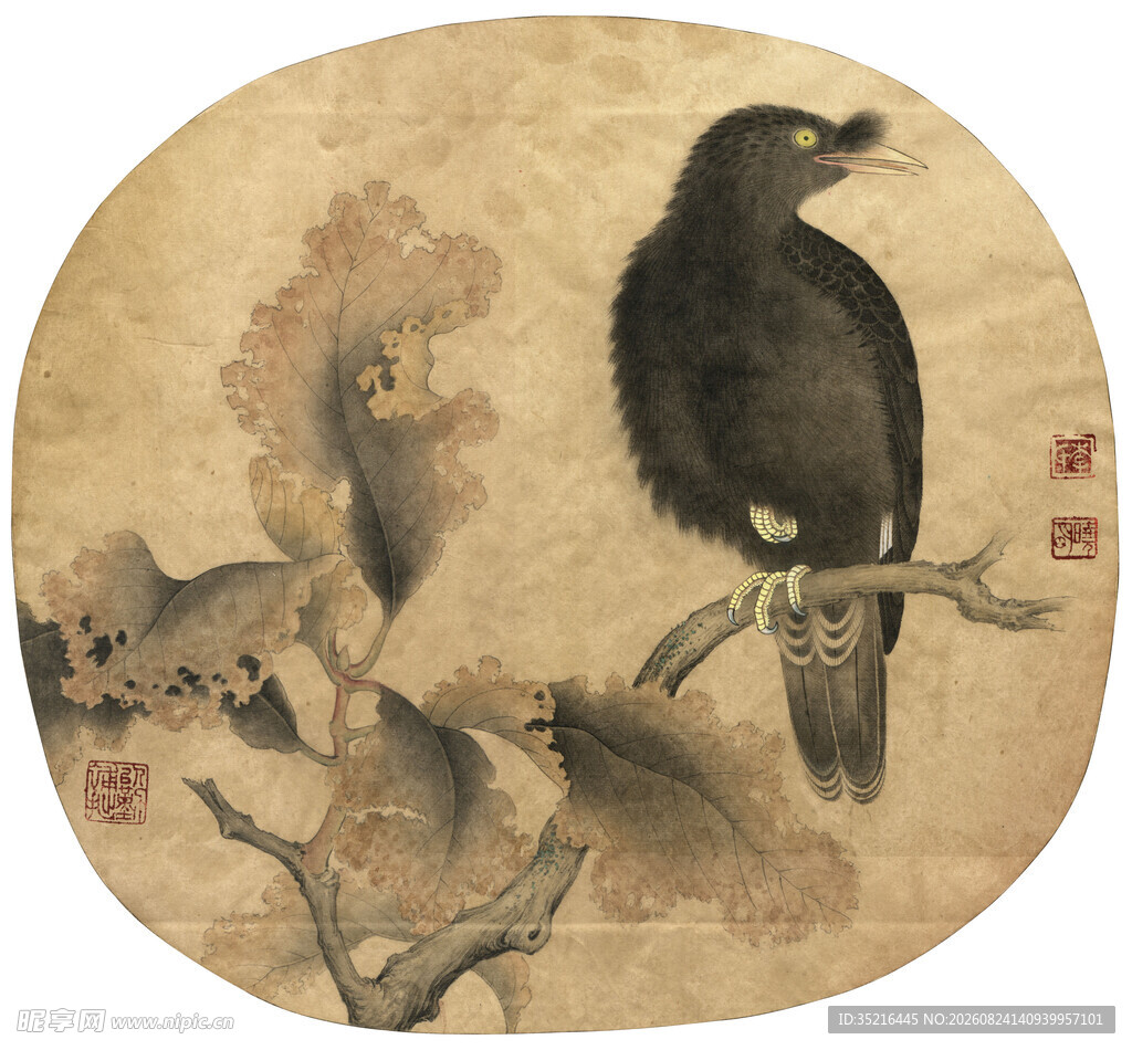 国画中栖息枝头的黑鸟