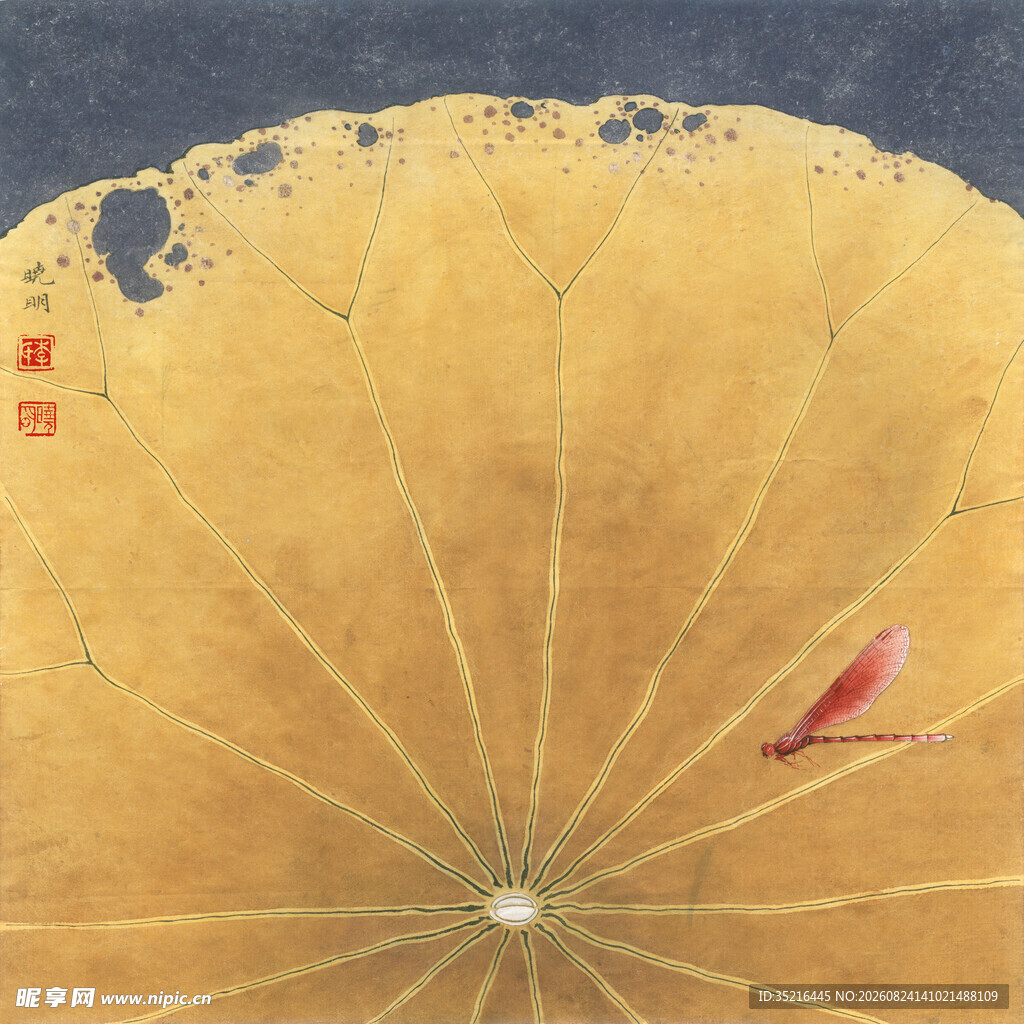 金黄叶脉间的一抹红