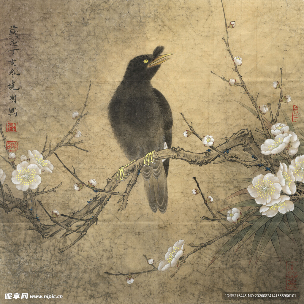 枝头鹊影