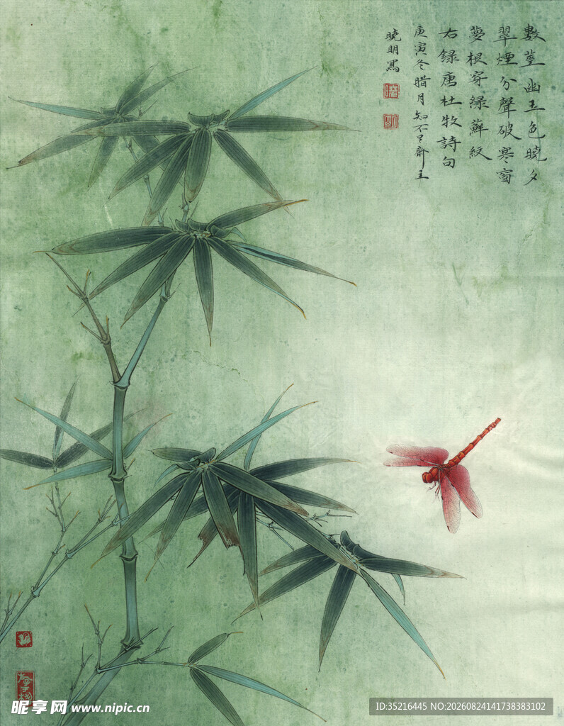 翠竹间红蜻蜓飞舞画面