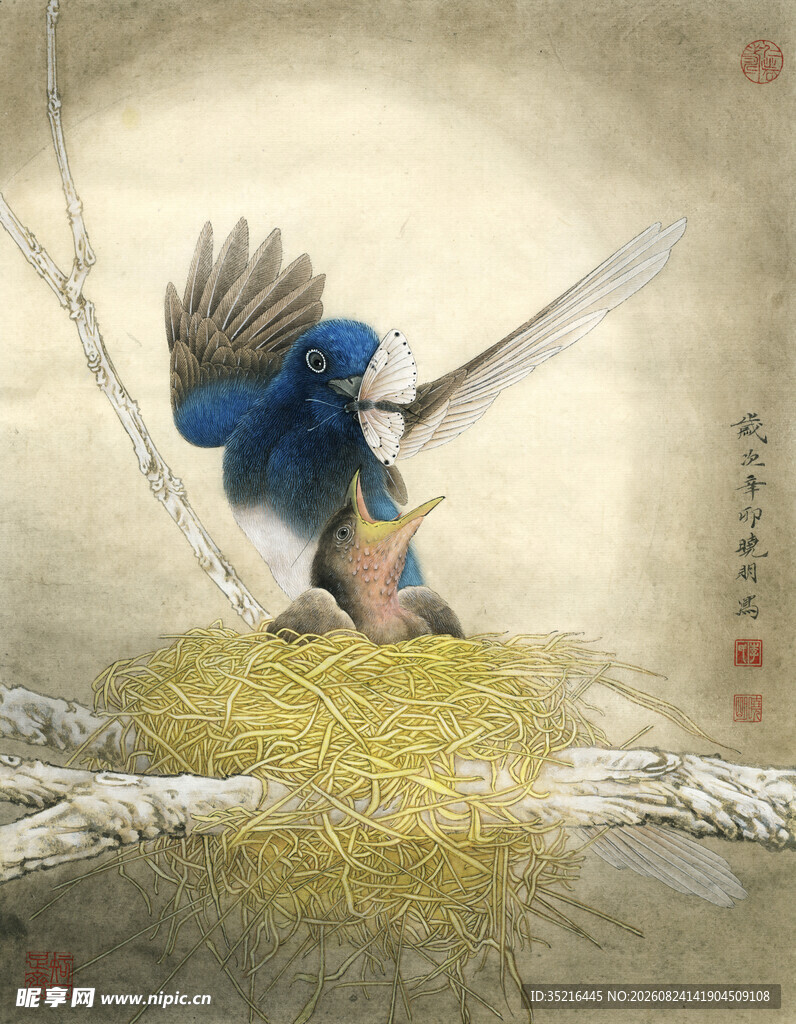 蓝鸟于巢边展翅欲飞