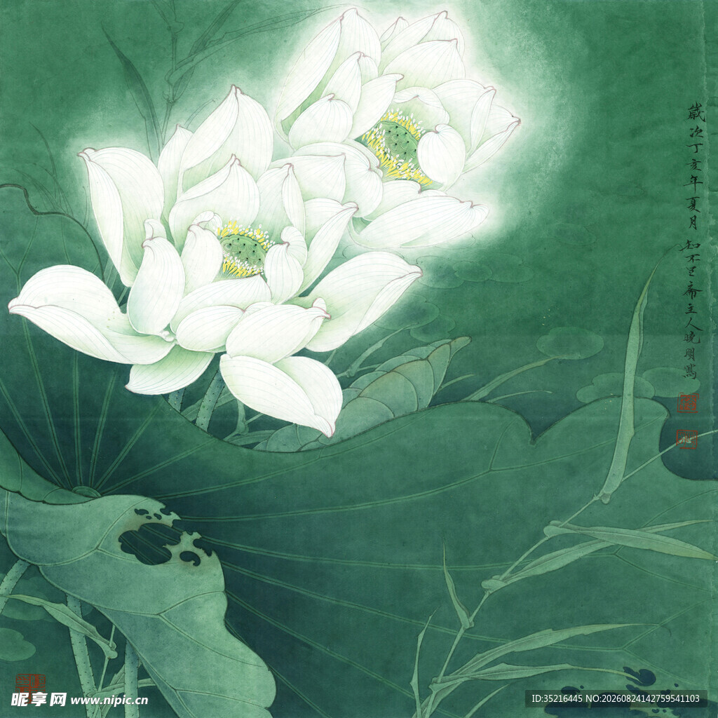 水墨风绽放的洁白荷花
