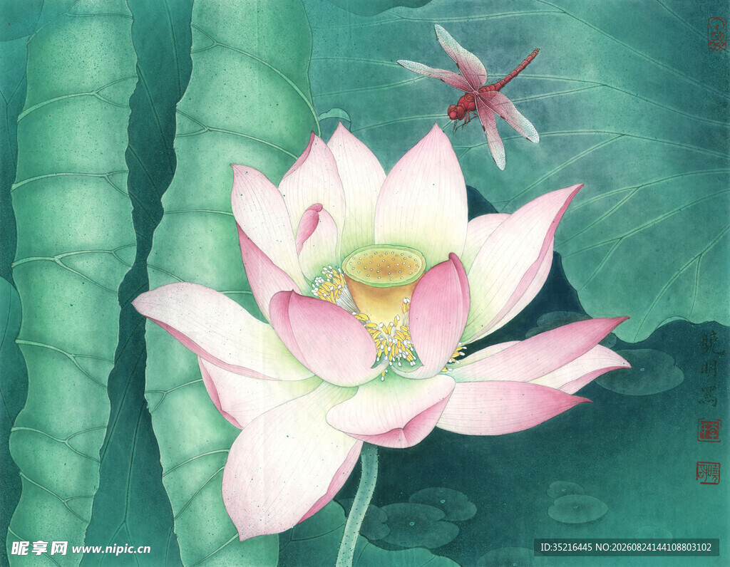 水墨荷花与蜻蜓