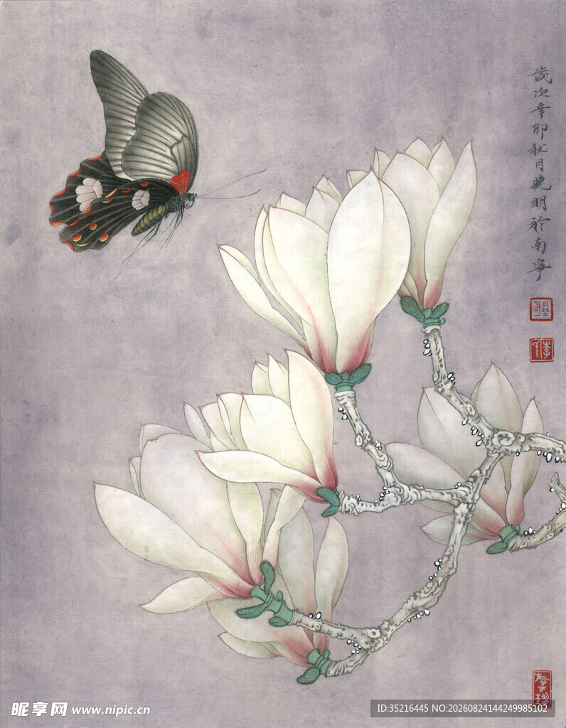 玉兰花畔蝶飞舞