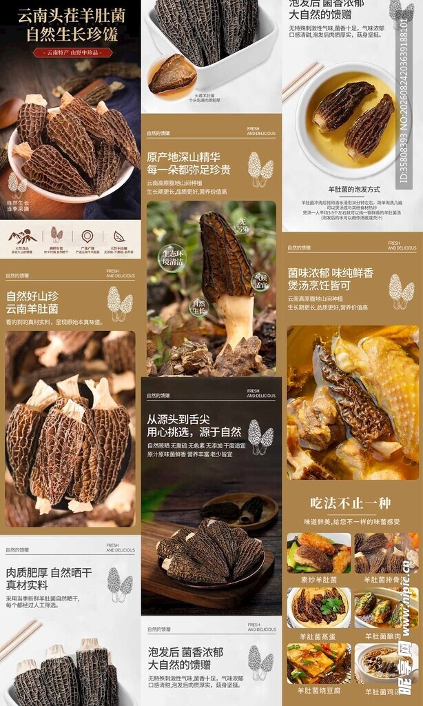 云南头茬羊肚菌