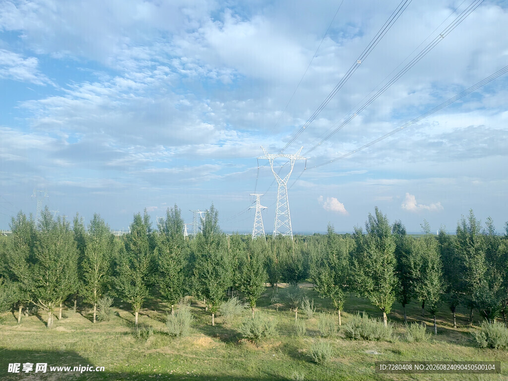 田野绿树间的输电线路