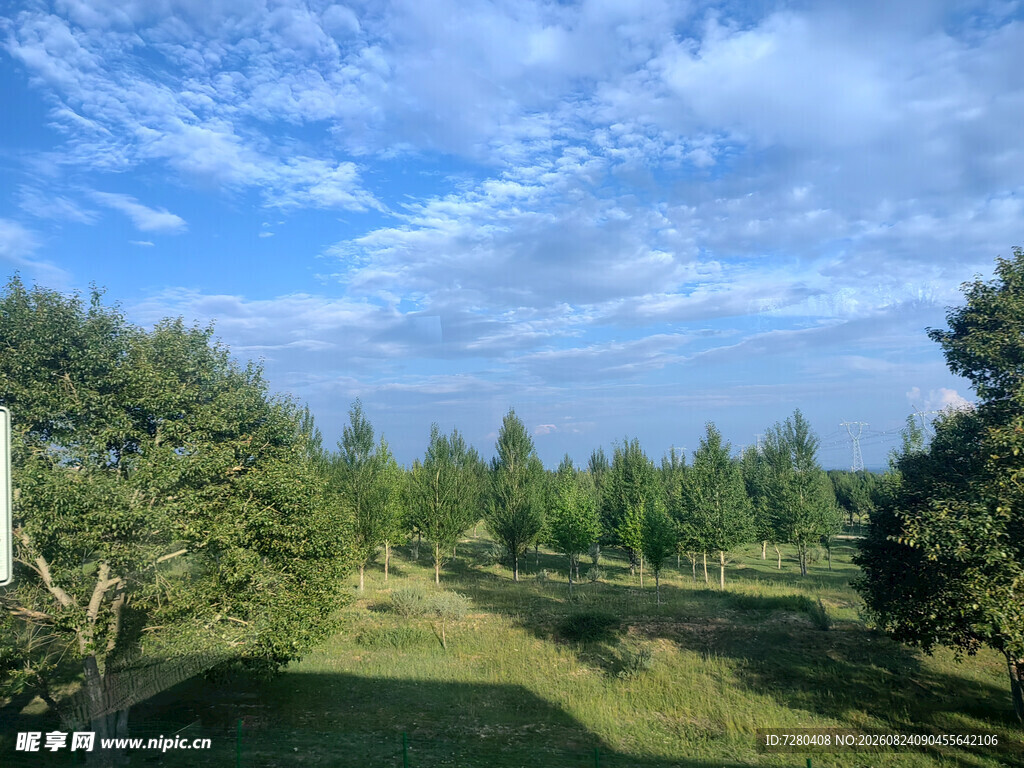 林间草地蓝天美景