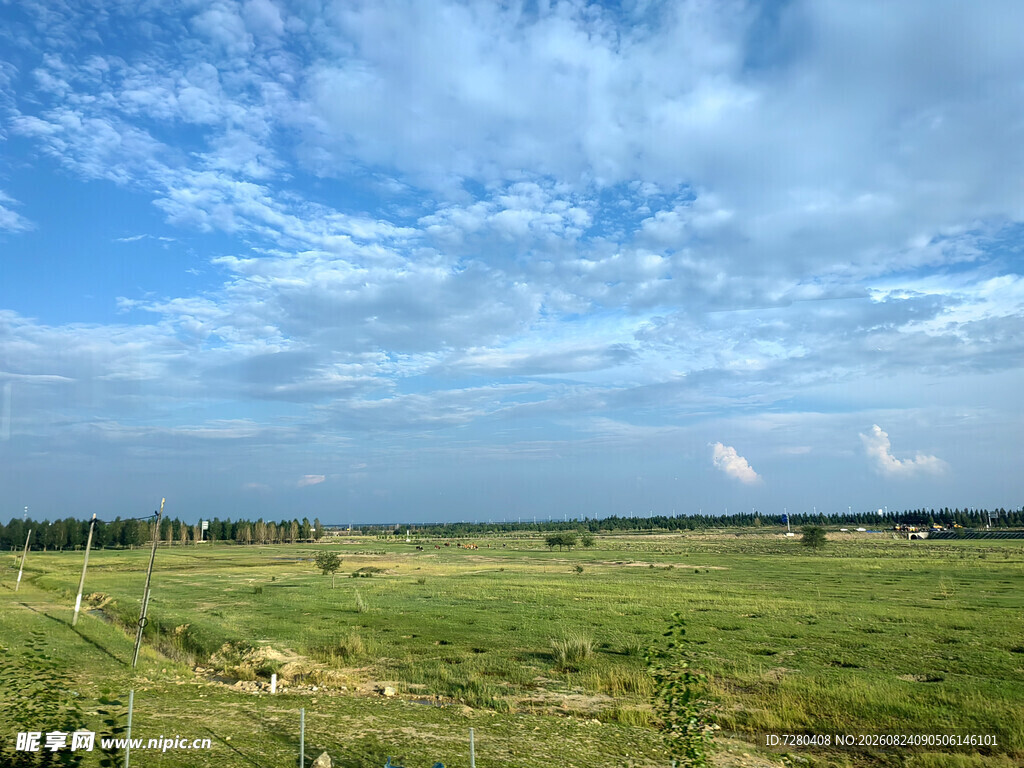广袤绿野与蓝天白云美景