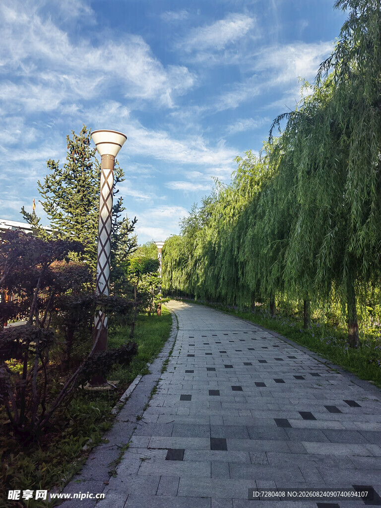 林荫石板路的静谧景致