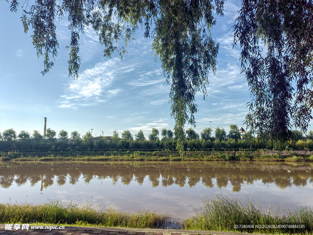 湖畔垂柳映碧水美景