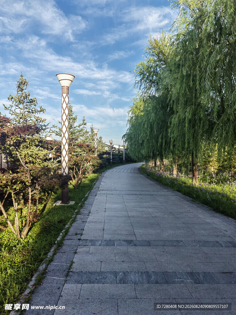 林荫小道