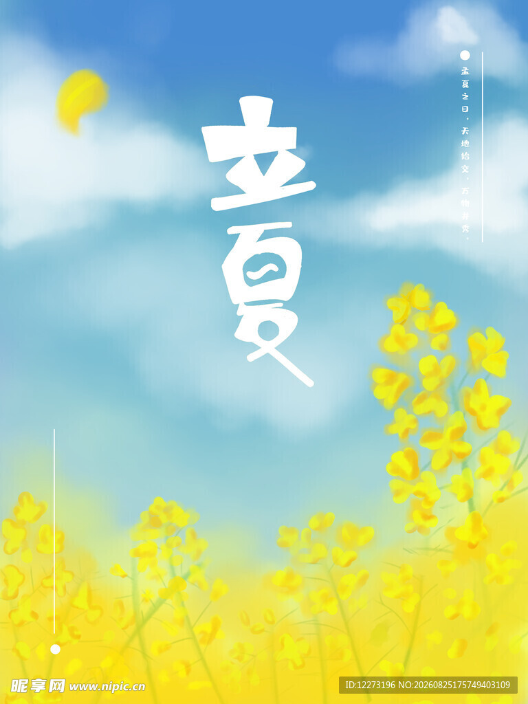 夏日田野 