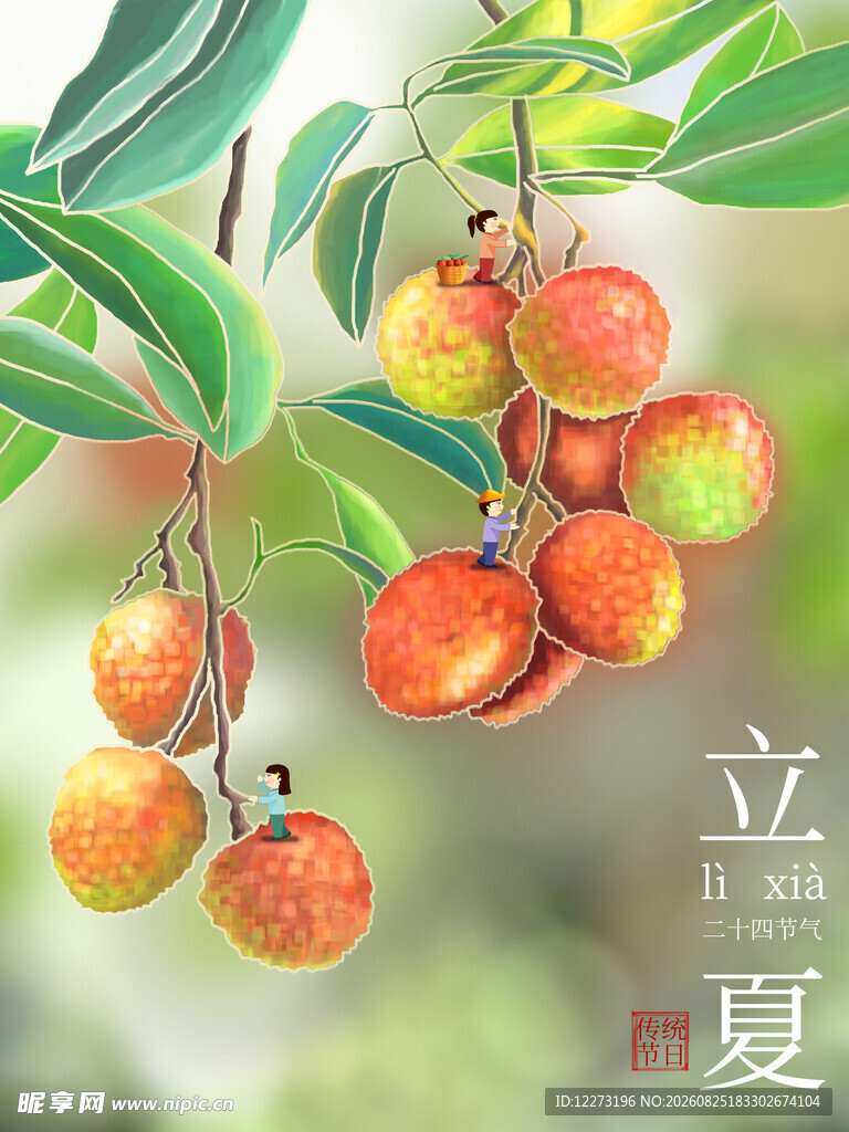 立夏时节挂枝头的鲜荔枝