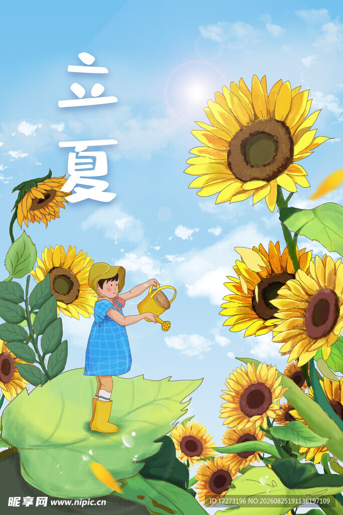 夏日少女立夏至向日葵间