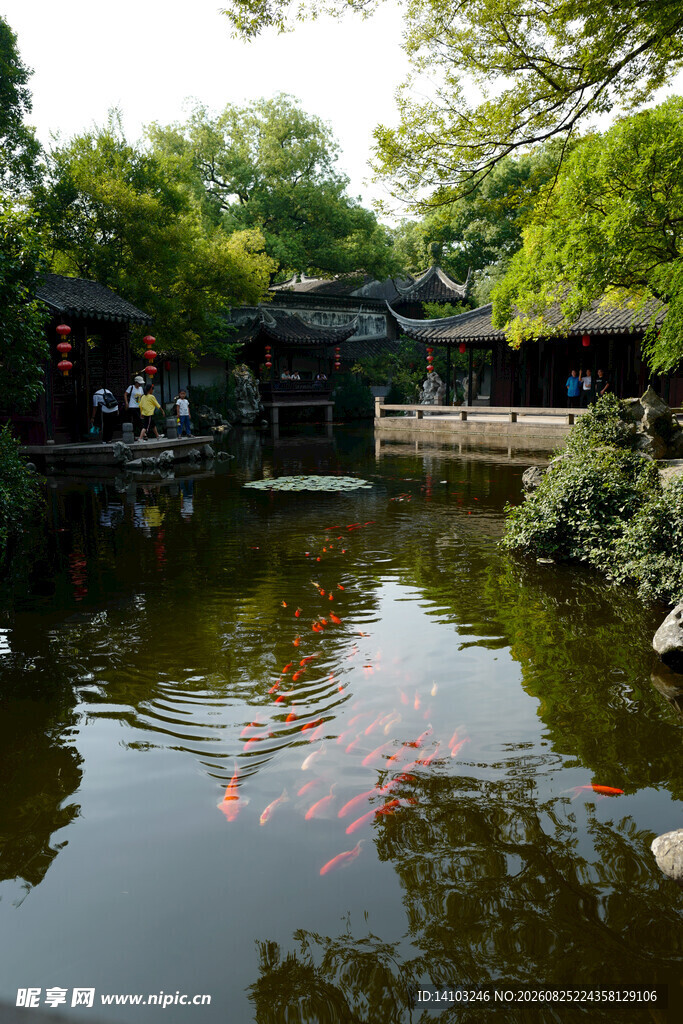中式园林池塘锦鲤景观