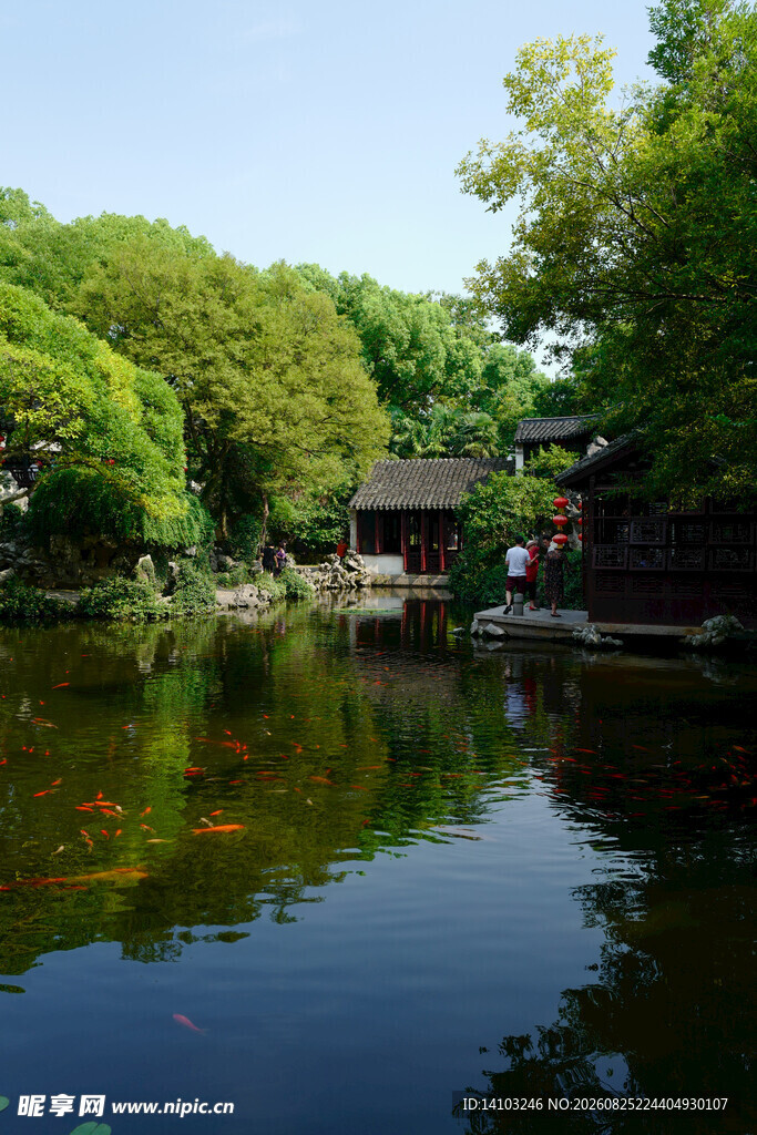 中式园林静谧池塘景观