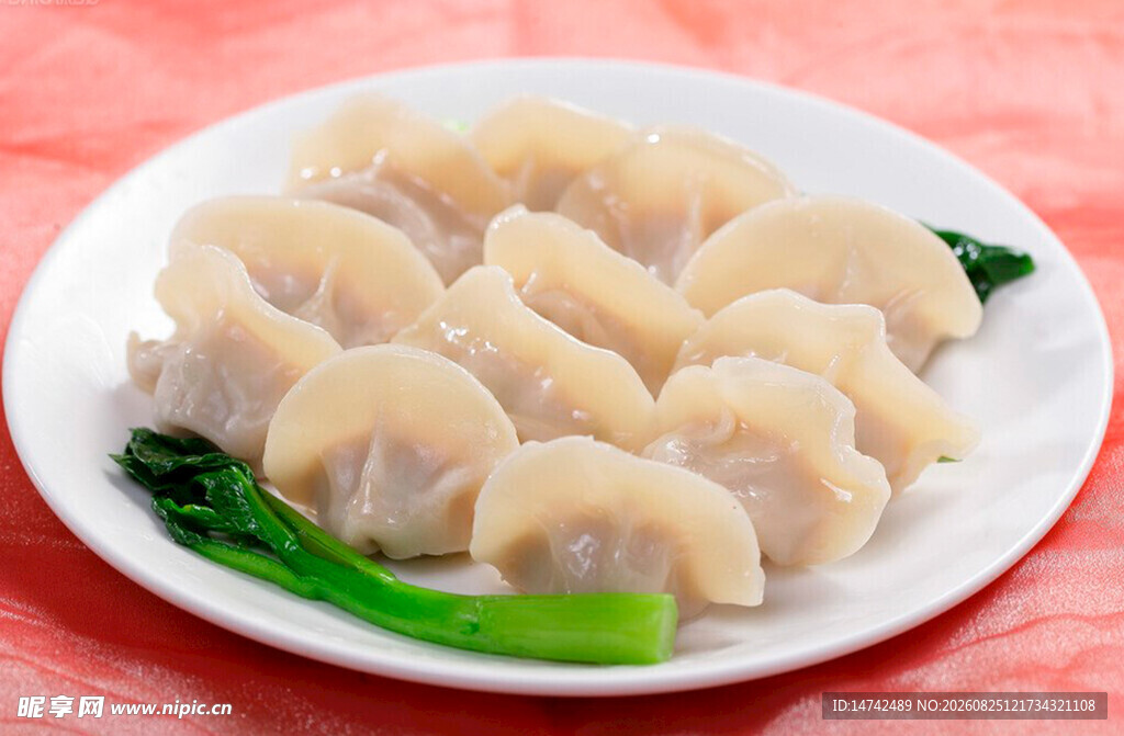 一盘美味饺子