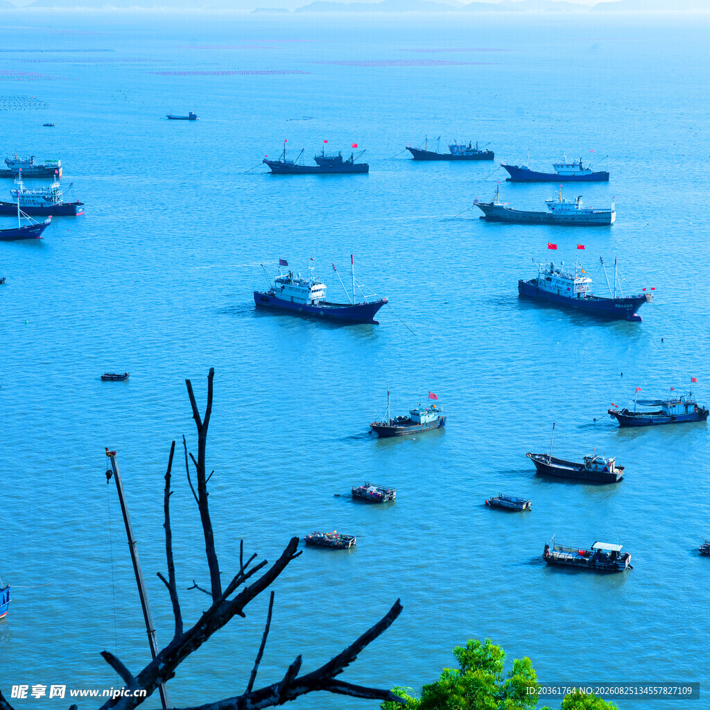 海上船只云集的美丽景致