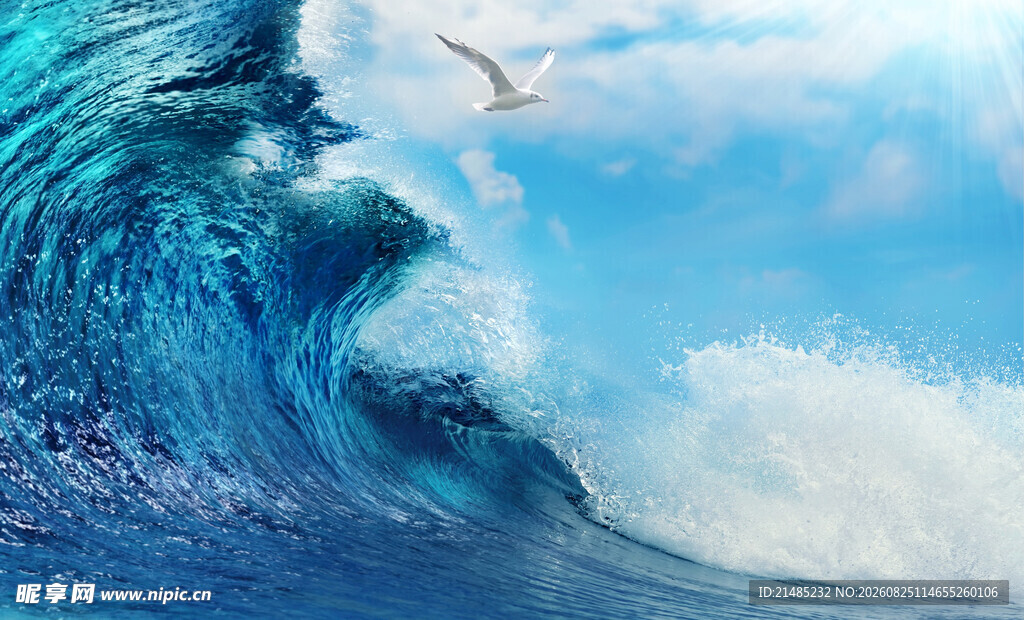 汹涌海浪与翱翔海鸥