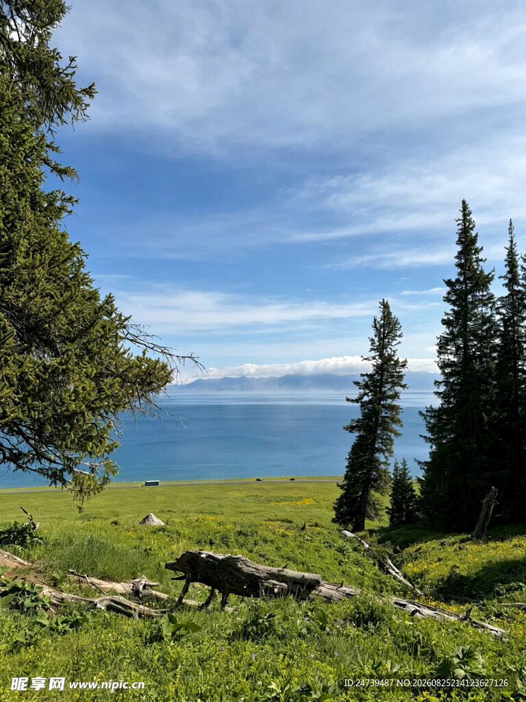 高山草甸旁的壮阔湖景