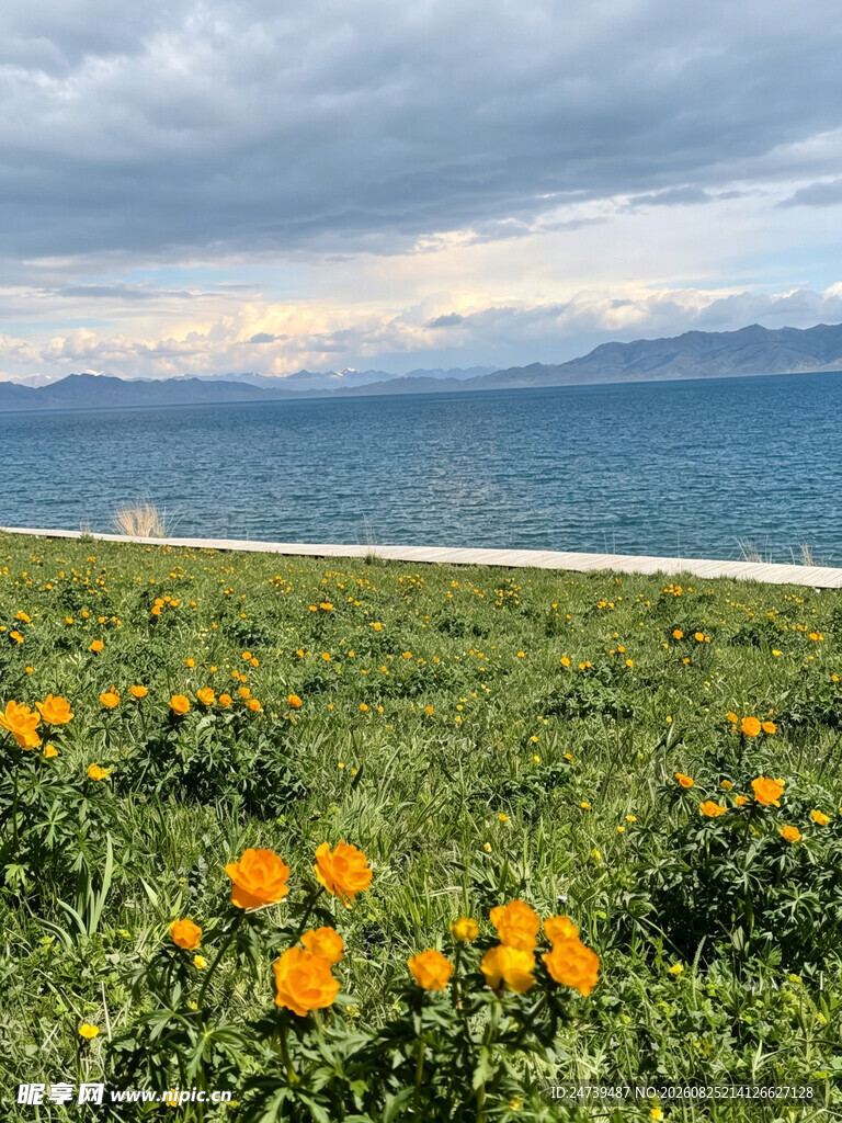 湖畔花海美景