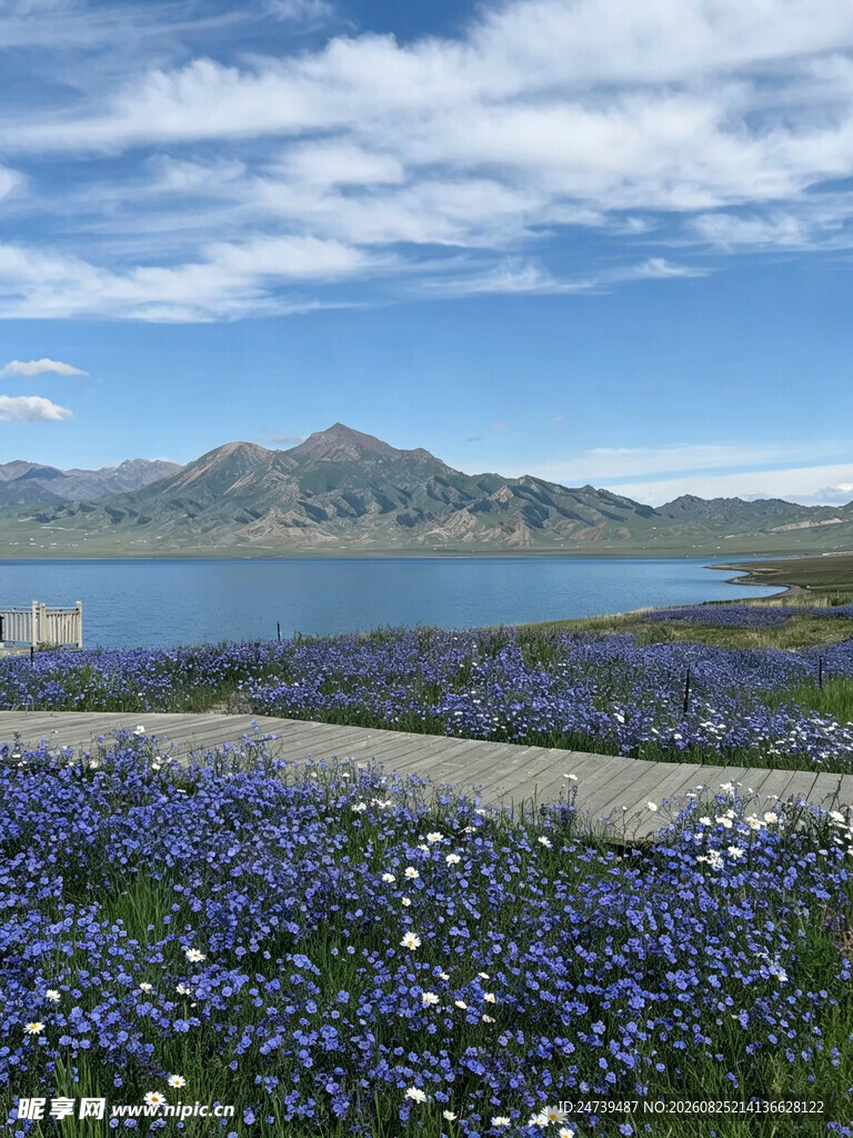 湖畔黄花盛开的美丽原野