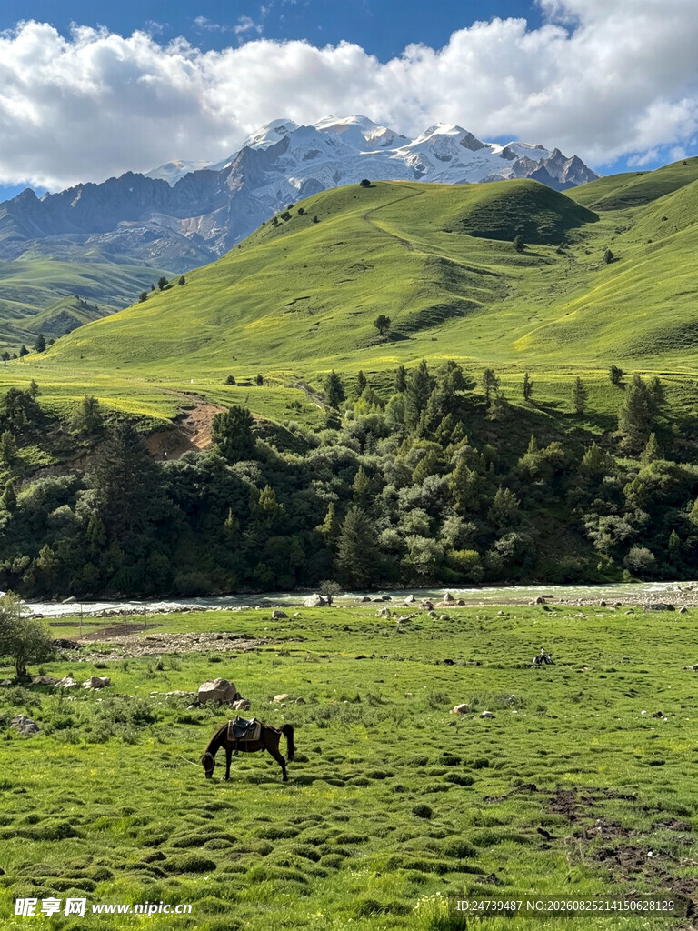 草原骏马与青山美景