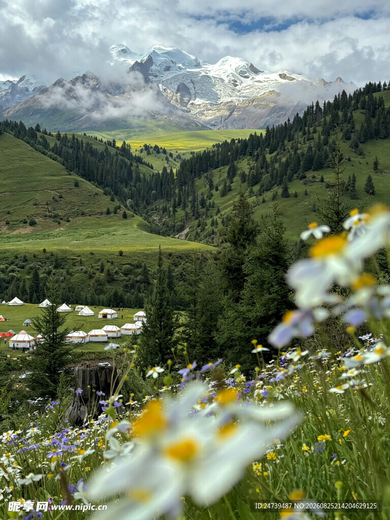 山间烂漫花海美景
