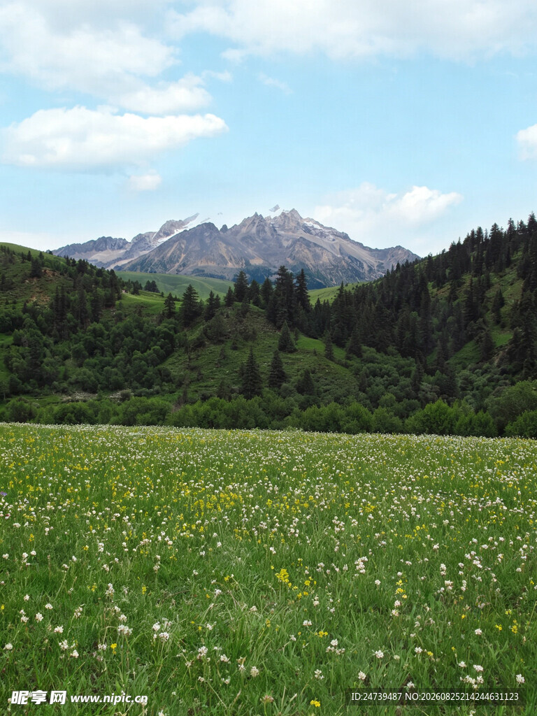 草原山峦美景