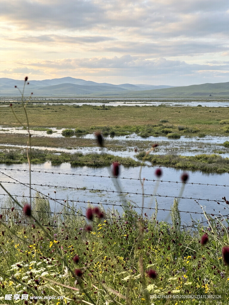 草原湿地景观