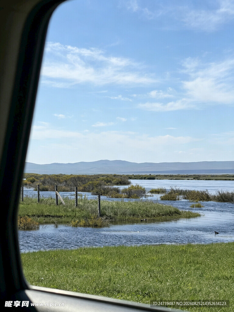 车窗外的湿地风光