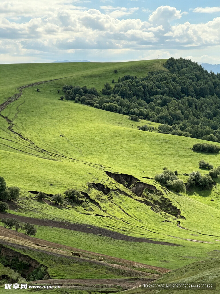 翠绿山丘间的蜿蜒道路