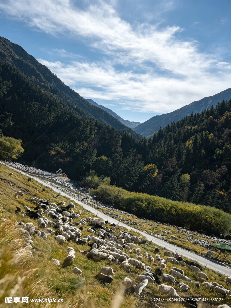 山间蜿蜒公路美景