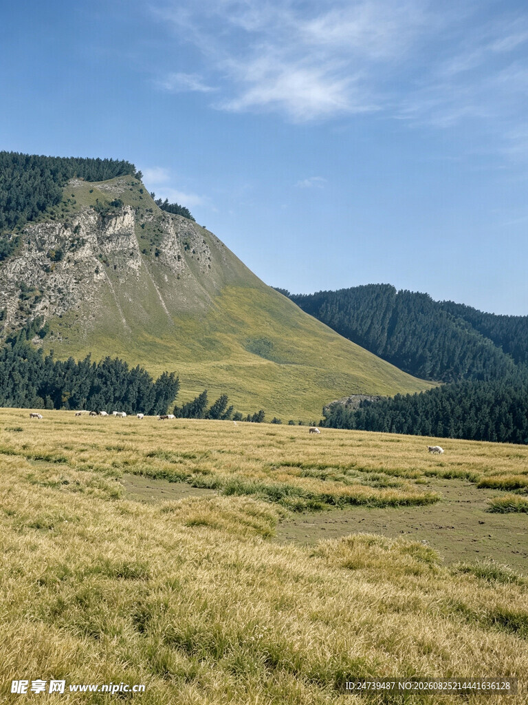 广袤草原旁的巍峨山峦