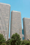 城市高楼与绿树景观