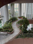 室内蜿蜒绿植景观步道