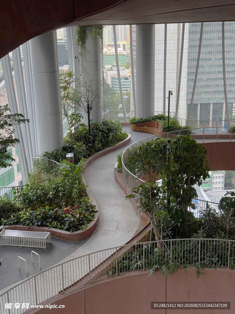 室内蜿蜒绿植景观步道