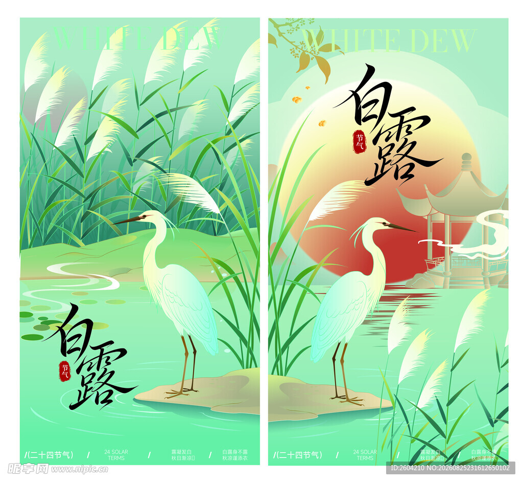白露海报
