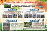 校园活动风采展示