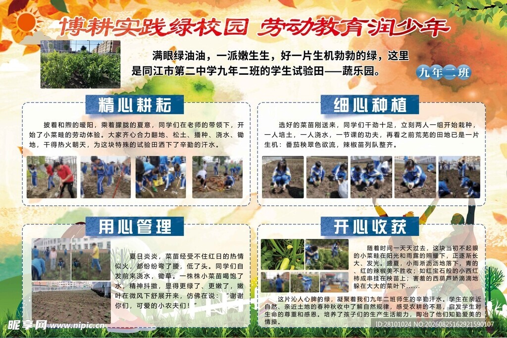 校园活动风采展示