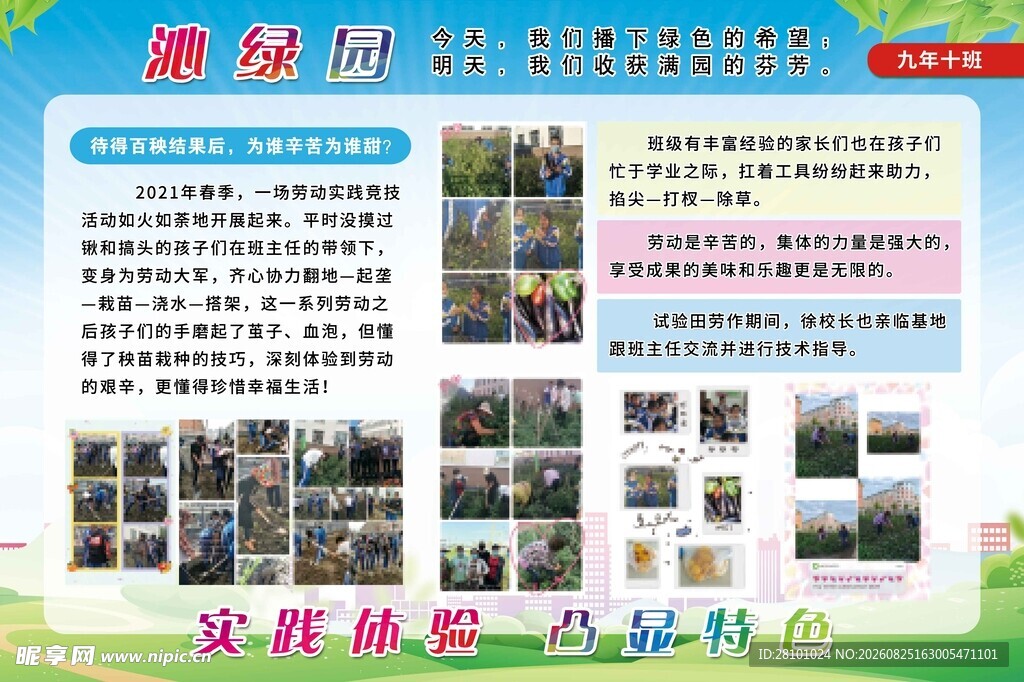 校园活动风采展示