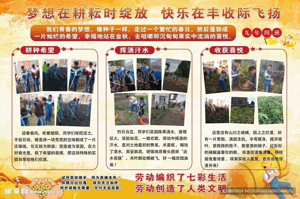 学校宣传海报