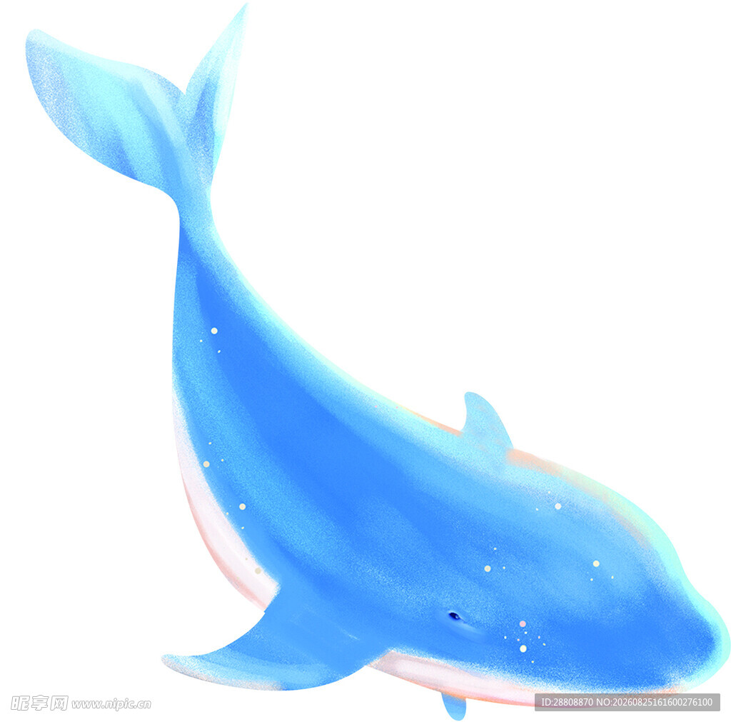 蓝色梦幻鲸鱼插画